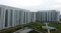 dlf icon apartment